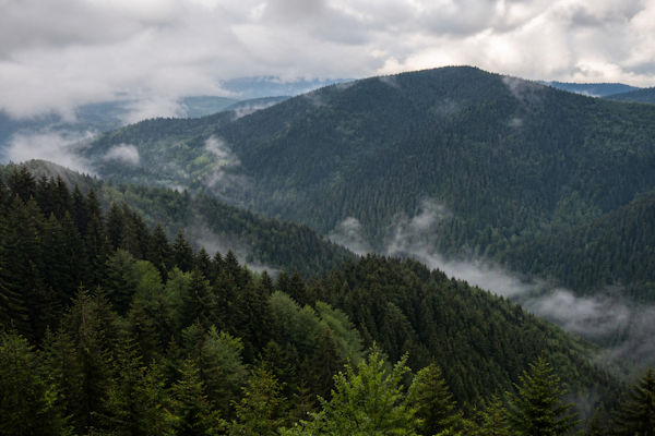 Schwarzwald bewölkt 