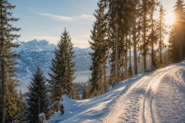 Panorama Skigebiet 