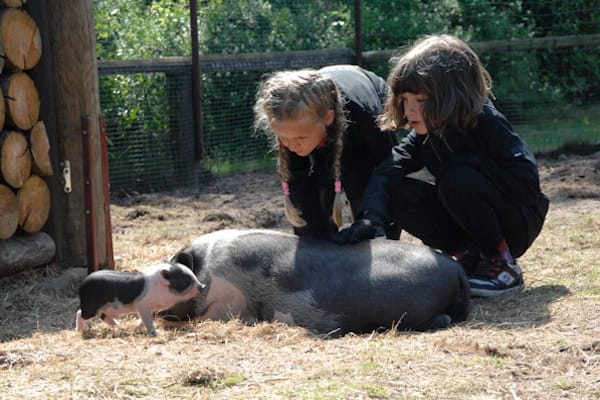 Zwei Mädchen im Streichelzoo bei der Naturreise Ostsee Hirschburg