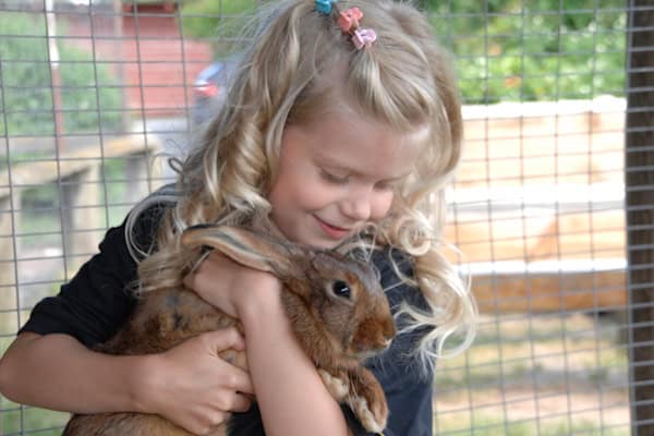 Mädchen mit Hase bei der Naturreise Wendorf
