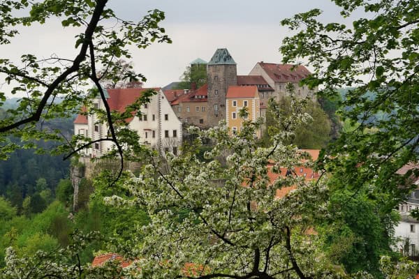 Jugendherberge für Klassenfahrten schön im Wald gelegen
