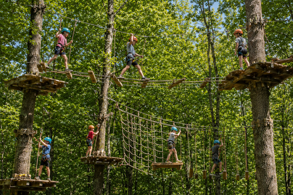 Kletterwald geschnitten