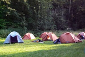 3-Personenzelte auf einer Wiese