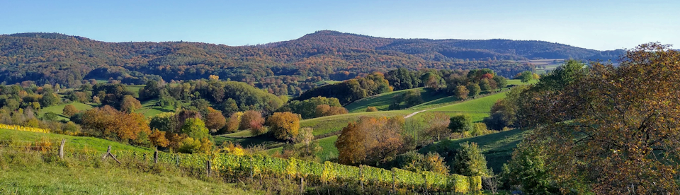 Landschaft Hessen
