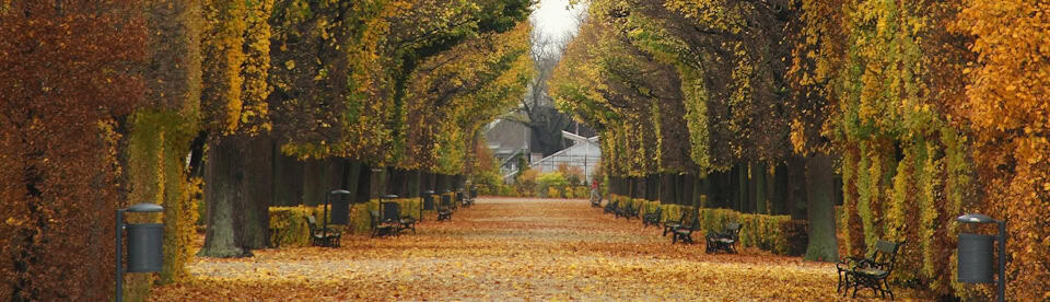 herbst wien