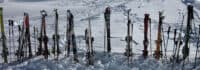 Skier im Schnee