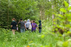 Kinder sind auf der Klassenfahrt im Wald unterwegs